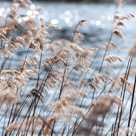 Apartament Gaestehaus Am Fischerweg Luett Matten Lauterbach (Rugen)