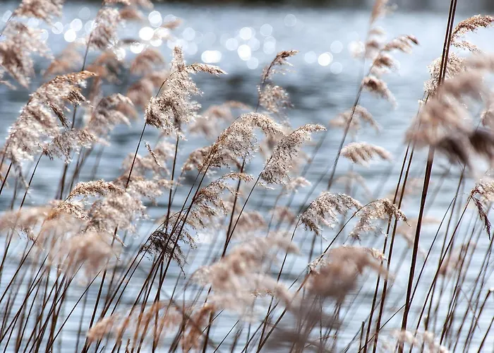 Apartament Gaestehaus Am Fischerweg Luett Matten Lauterbach (Rugen)